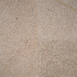 Gold Rush 12 in. x 12 in. Polished Granite Stone Look Floor and Wall Tile (5 sq. ft./Case)