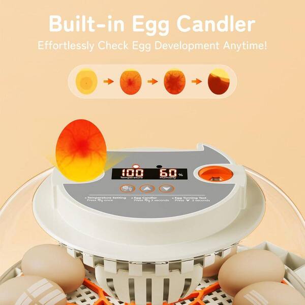 KIWDZFU 12 Egg Incubator with Temperature Humidity Display