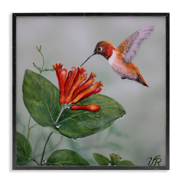 Stupell Industries Red Hummingbird & Flower by Valerie Rogers Black Framed Animal Giclee Art Print 24 in. x 24 in.