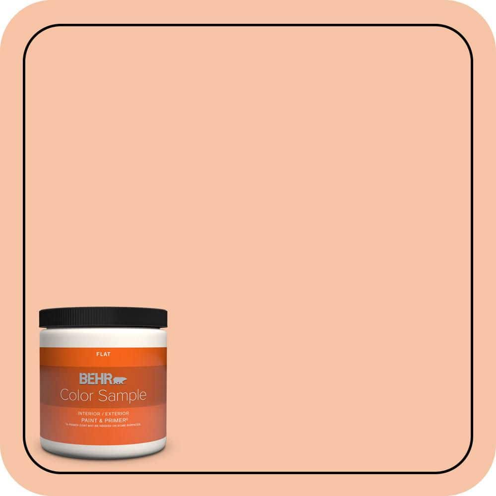 8 oz. #240C-3 Peach Damask Flat Interior/Exterior Paint & Primer Color Sample price history on PriceWatchPro