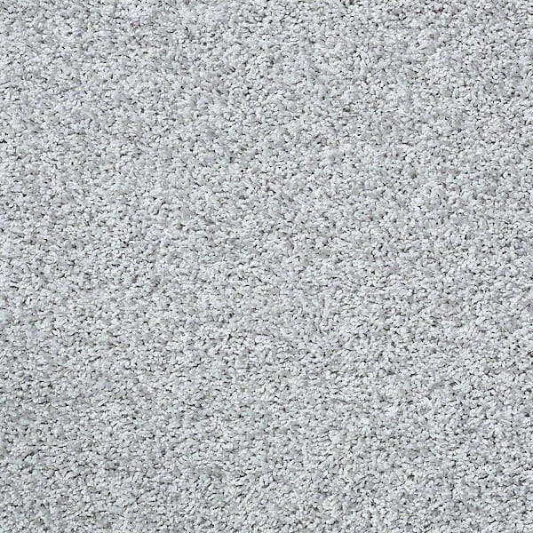 TrafficMaster 8 in. x 8 in. Twist Carpet Sample - Charming - Color Chrome