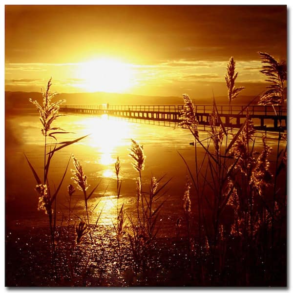 Trademark Fine Art 24 in. x 24 in. My Date with the Sun Canvas Art