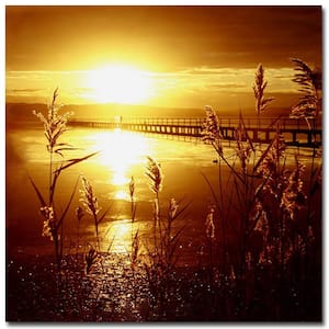24 in. x 24 in. My Date with the Sun Canvas Art