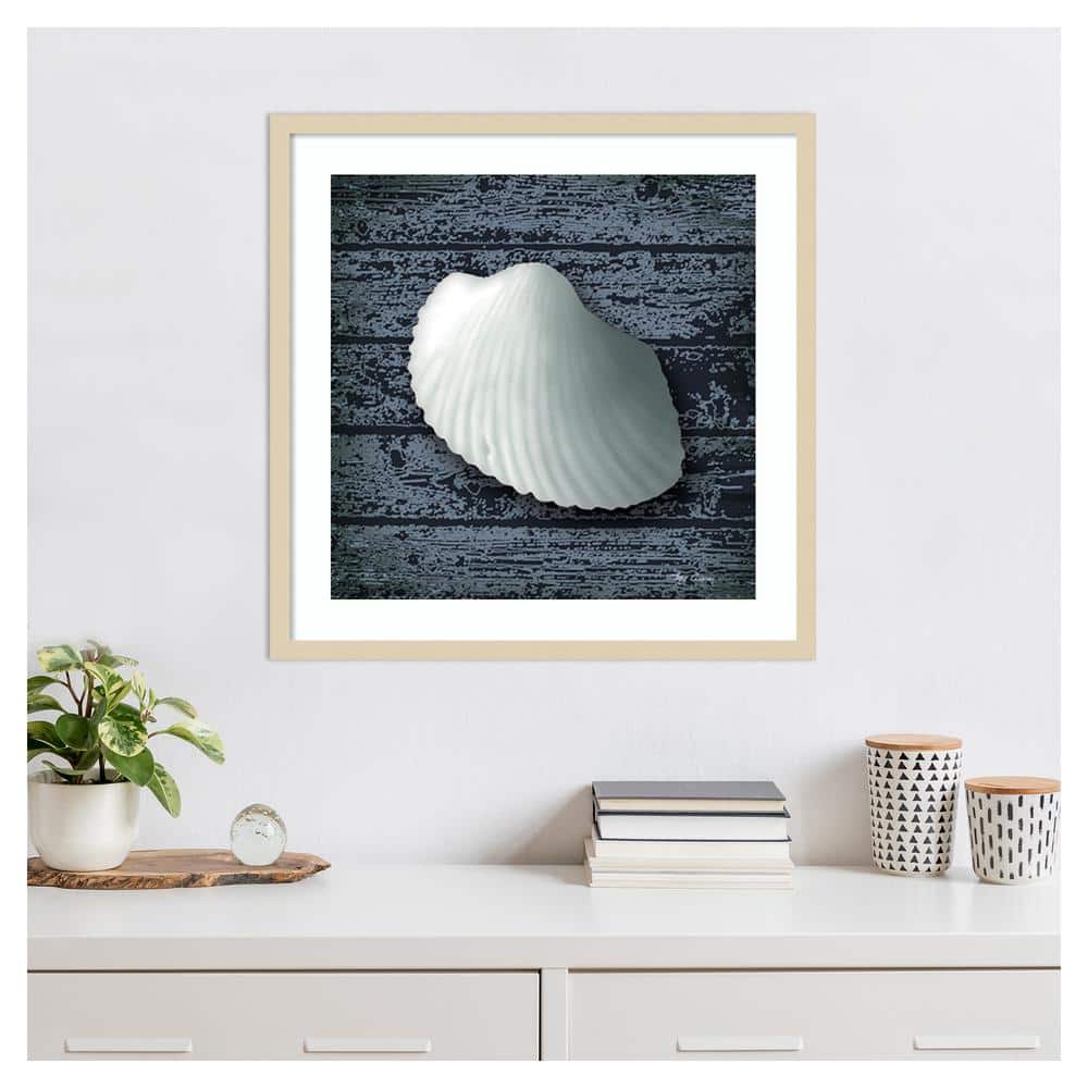 Seashore Shells Navy I Coastal Framed Wall Art Print
