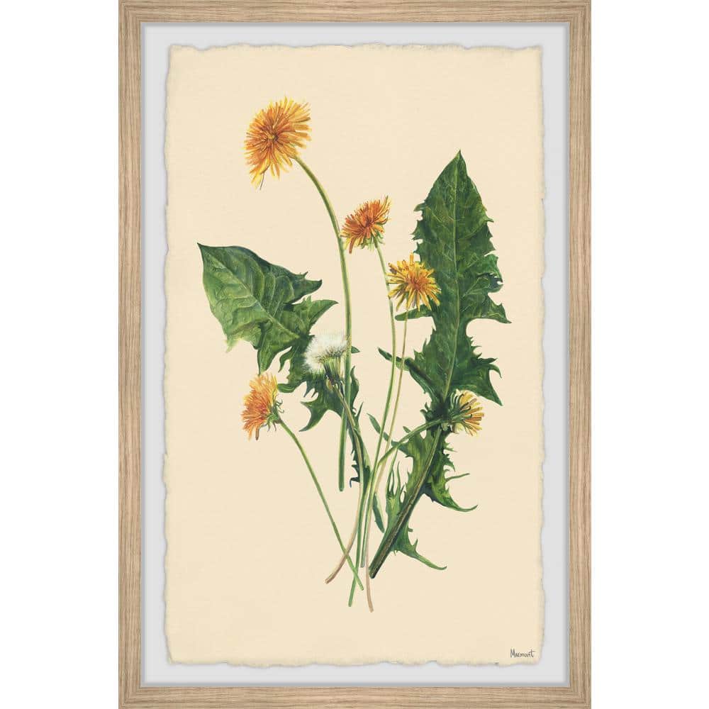 Fresh Dandelions by Marmont Hill Framed Nature Art Print 12 in. x 8 in.