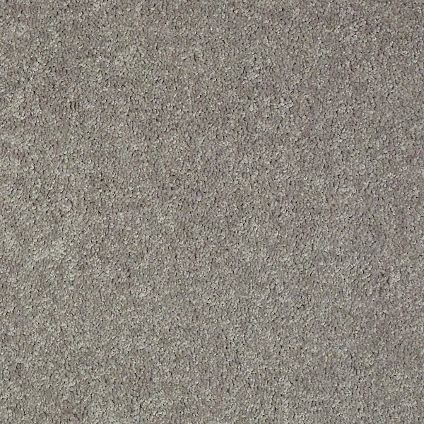 TrafficMaster 8 in. x 8 in. Texture Carpet Sample - Alpine - Color Tranquility