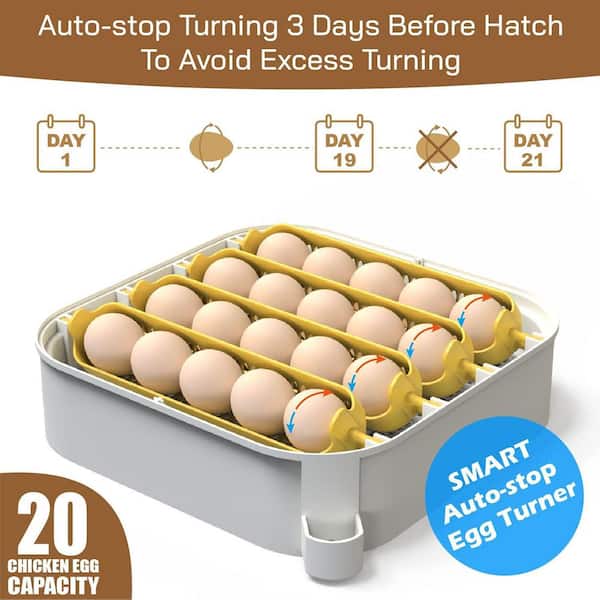 KIWDZFU 20 Egg Incubator with Humidity Display and Automatic