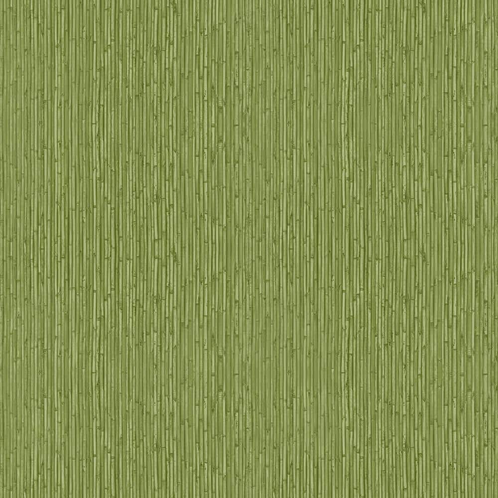 Into The Wild Green Bamboo Paper Non-Pasted Non-Woven Wallpaper Roll