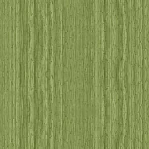 Into The Wild Green Bamboo Paper Non-Pasted Non-Woven Wallpaper Roll