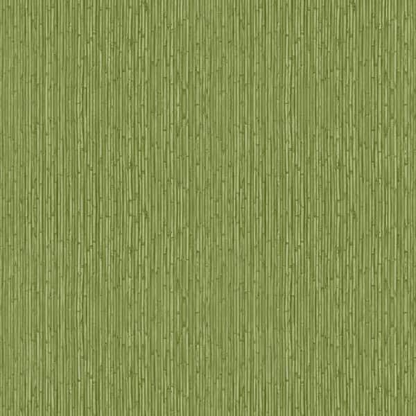 Unbranded Into The Wild Green Bamboo Paper Non-Pasted Non-Woven Wallpaper Roll