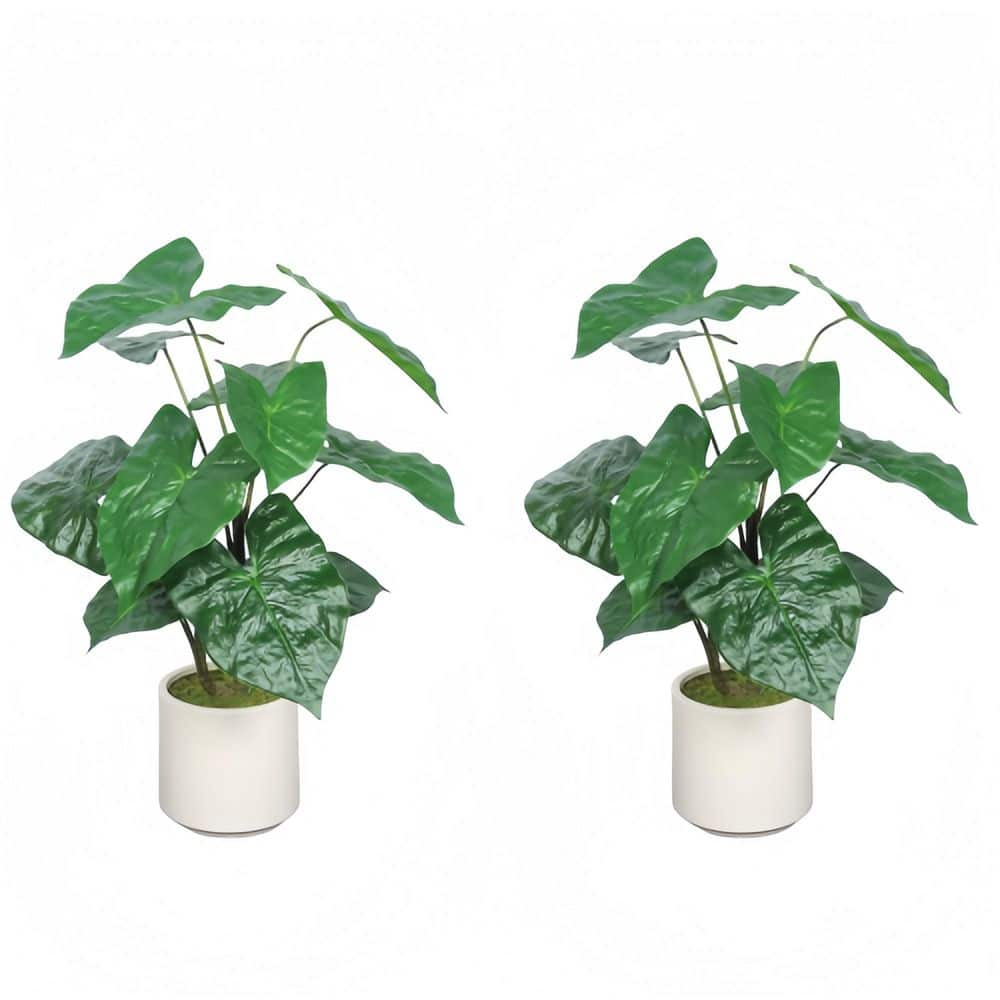 30-Inch Indoor/Outdoor Artificial Tropical Taro Leaf Plant with White Planter (Set of 2) price history on PriceWatchPro