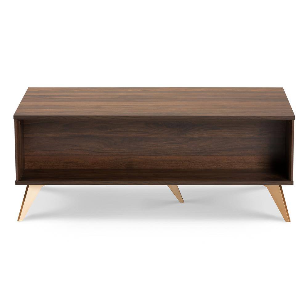 Walnut Brown and Gold Mid-Century Modern Coffee Table with Storage