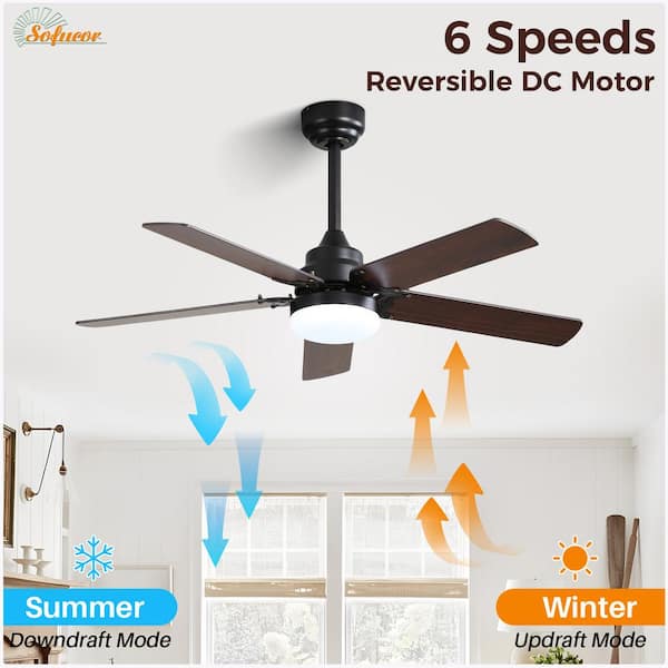 42 in. Indoor Black Downrod Mount and Flush Mount Led Ceiling Fan with Remote Control, 6-Speed DC Motor and Lights Kit