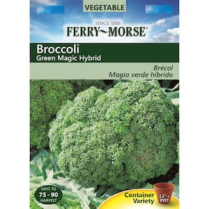 Broccoli Green Magic Hybrid Seed