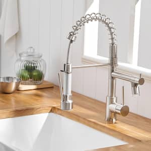 Stainless Steel Silver Faucet Single-Handle Faucet Pull-Down Sprayer Kitchen Faucet