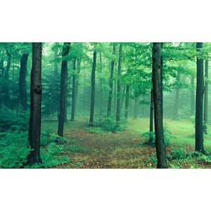 Path View - Weather Proof Scene for Window Wells or Wall Mural - 120 in. x 60 in.