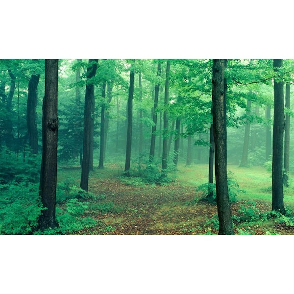 Biggies Path View - Weather Proof Scene for Window Wells or Wall Mural - 120 in. x 60 in.
