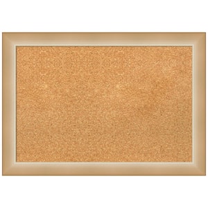 Eva Ombre Gold 27.00 in. x 19.00 in. Framed Corkboard Memo Board