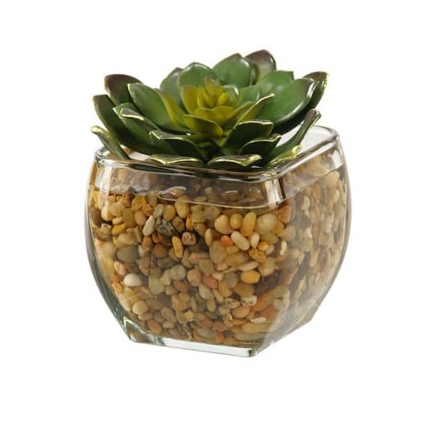 6 in. Indoor Echeveria Artificial Plant Succulent in Glass Cube Vase-Decorative Faux Plant for Small Spaces