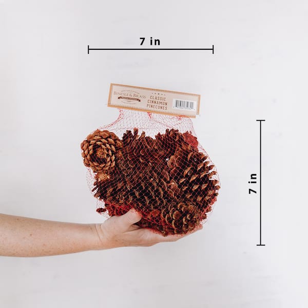 100 Pieces Mini Natural Pine Cones For Home,fall And Christmas Crafts