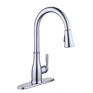 Halwin Single-Handle Pull Down Sprayer Kitchen Faucet in Chrome