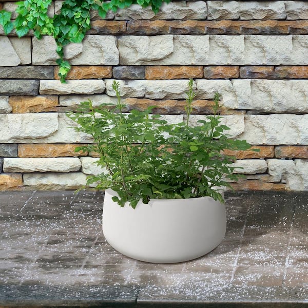  Priene HOME  (8 inch Plant Pots with Drainage Holes Large  Planter for Indoor and Outdoor Plants - Concrete Flower Pot - White & Gray  with Gold Accent : Patio, Lawn & Garden