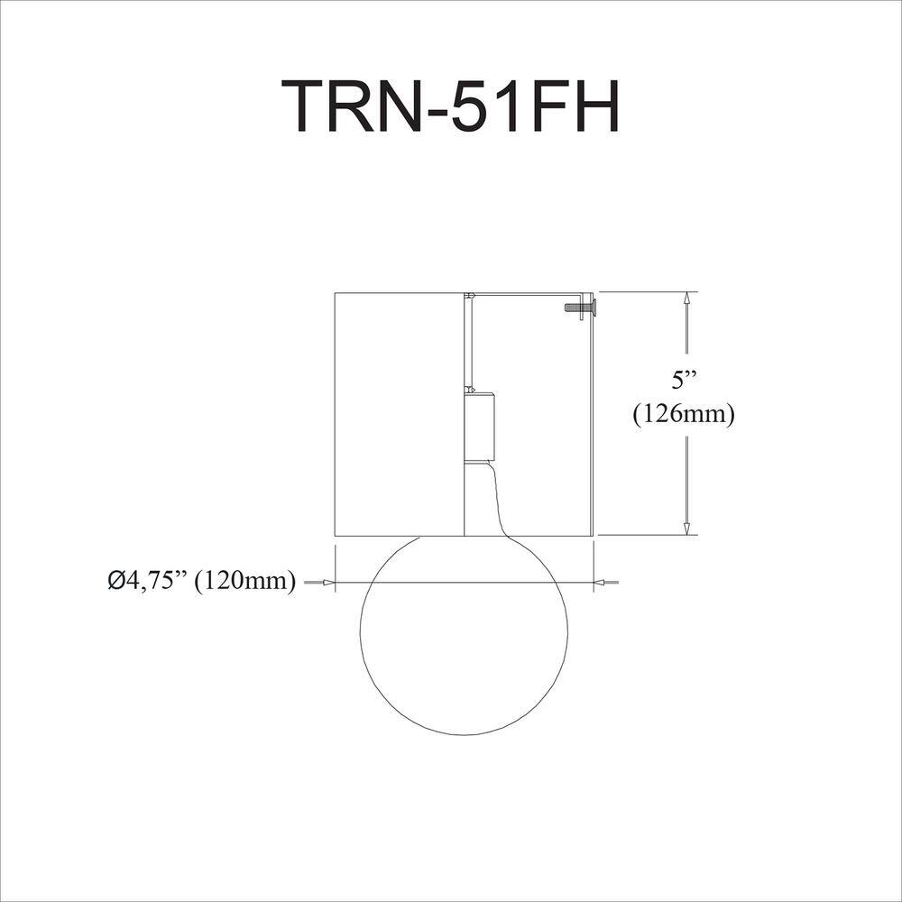 Matte Black Globe Glass Indoor/Outdoor Ceiling Light