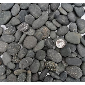 Rock Ranch 0.25 cu. ft. 20 lbs. 5/8 in. to 1 in. Black Mexican Beach Buttons Landscaping Pebble