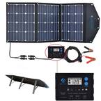 Renogy 100-Watt 12-Volt Monocrystalline Solar Starter Kit with 40 Amp