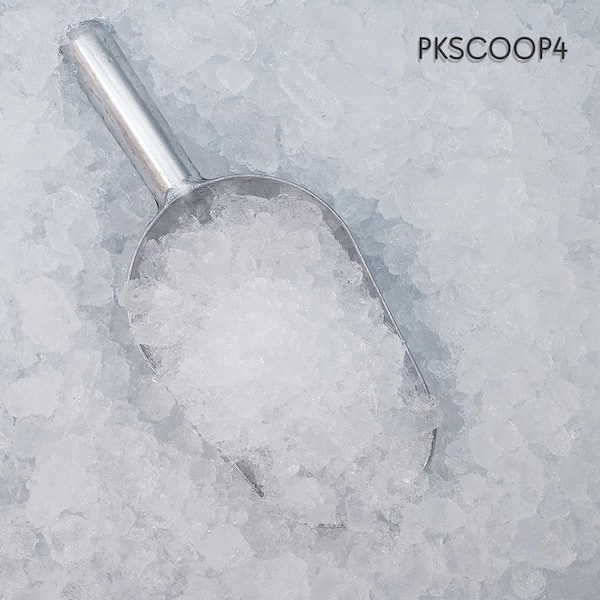 NutriChef Ice Scoop PKSCOOP4 - The Home Depot