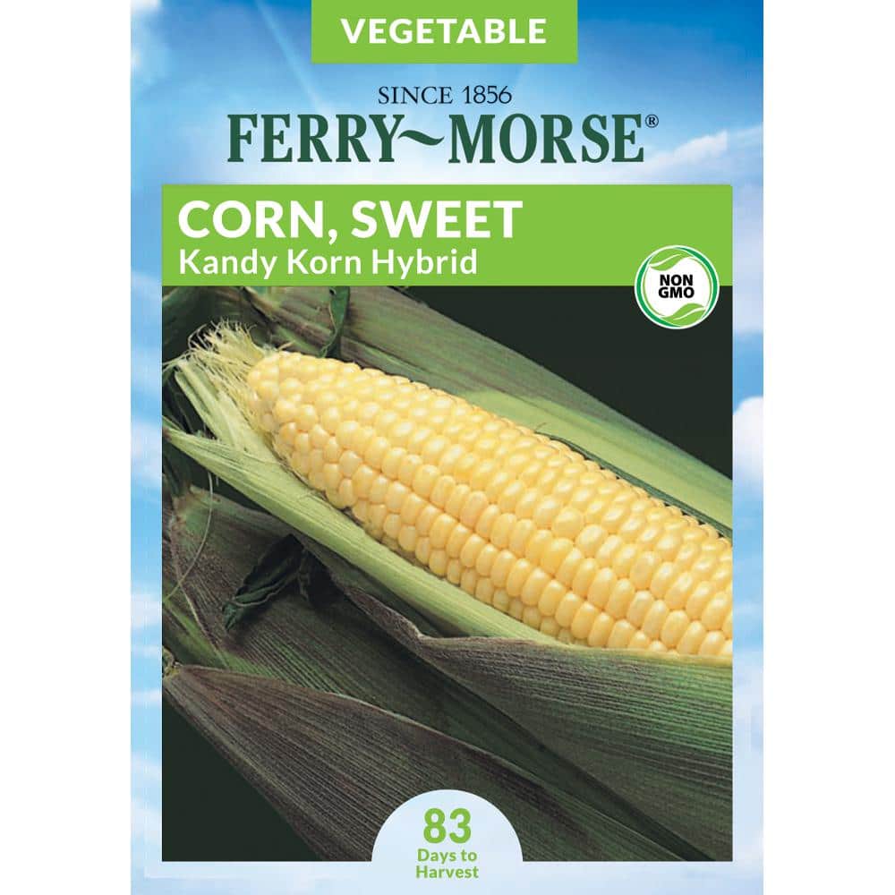 ferry-morse-fruit-seeds-7702-