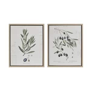 Anky 2-Piece Framed Art Print 21.8 in. x 17.8 in. Botanical Illustration Framed Canvas Wall Art Set