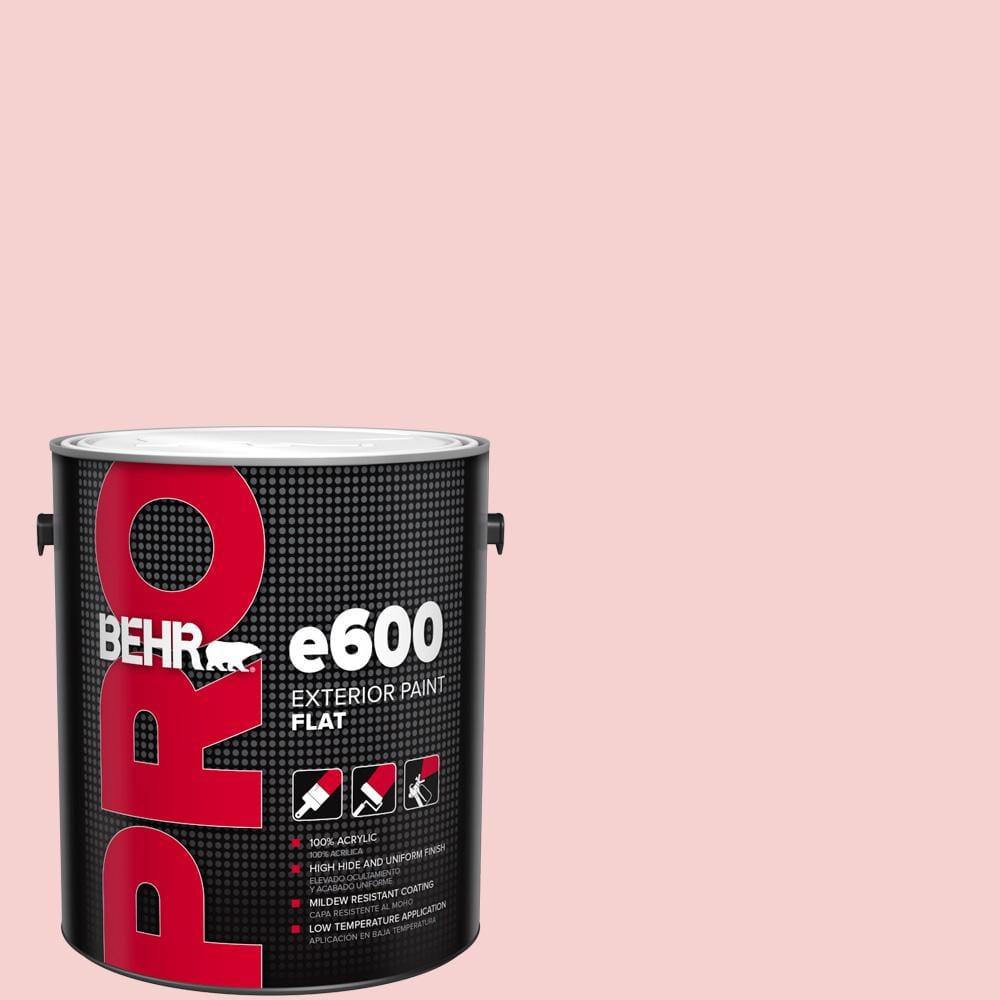 1 gal. #P170-1A Pinky Promise Flat Exterior Paint price history on PriceWatchPro