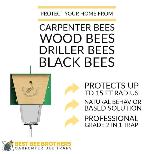 Ultimate Pro Carpenter Bee Trap with Bee Vault and Extra Large External Receptacle