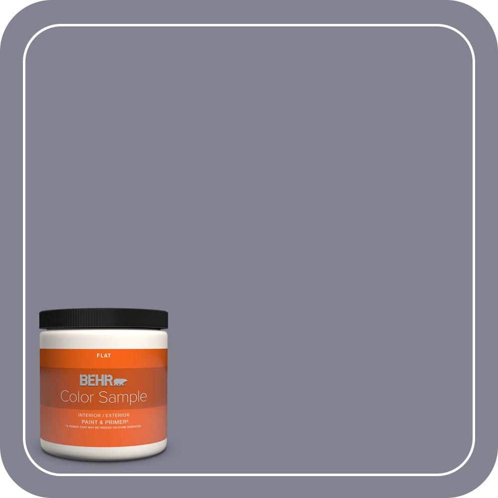8 oz. #BNC-19 Formal Affair Flat Interior/Exterior Paint & Primer Color Sample price history on PriceWatchPro