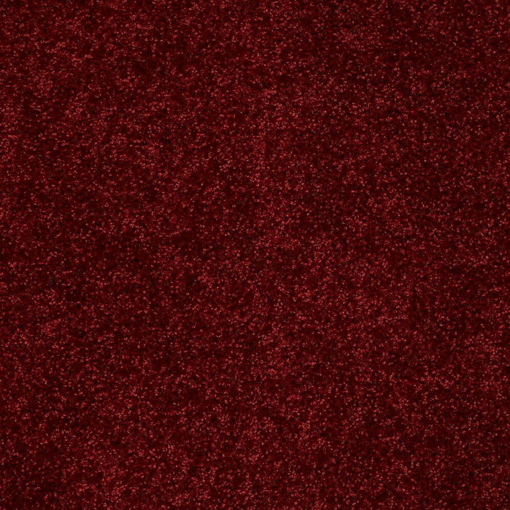8 in. x 8 in. Texture Carpet Sample - Palmdale II - Color Raspberry Tart price history on PriceWatchPro