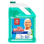 Home Pro 1 Gal. Meadows and Rain Scent Multi-Surface Liquid Cleaner with Febreze Freshness