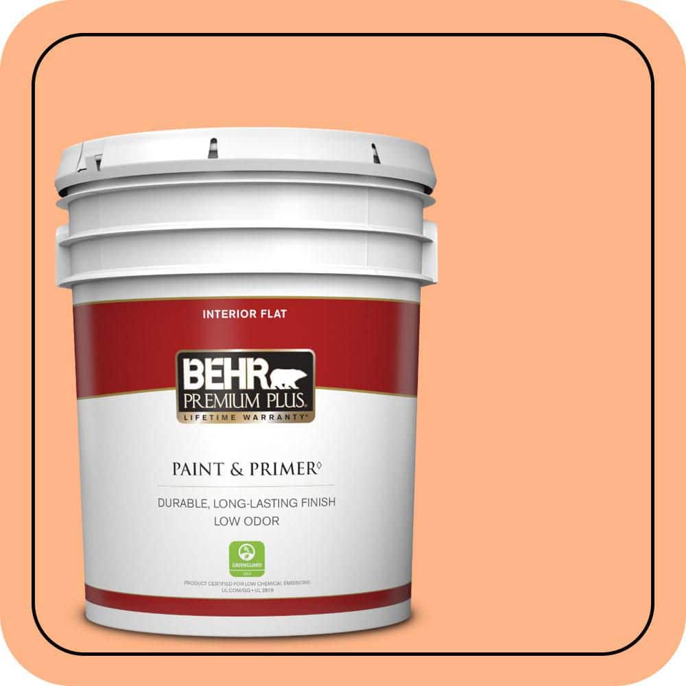 5 gal. #P210-4 Lollipop Flat Low Odor Interior Paint & Primer price history on PriceWatchPro