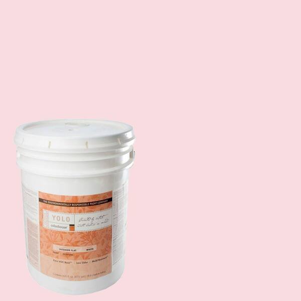 YOLO Colorhouse 5-gal. Sprout .06 Flat Interior Paint-DISCONTINUED