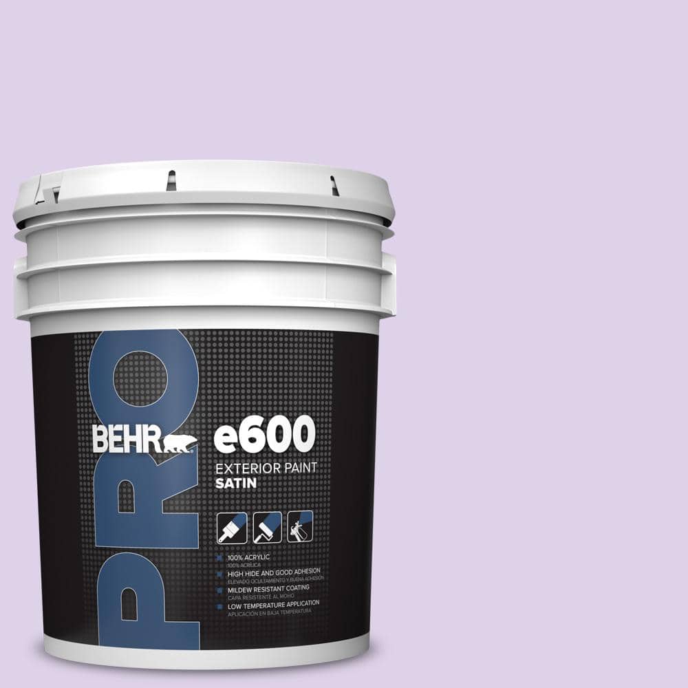 5 gal. #P570-1 Teary Eyed Satin Exterior Paint price history on PriceWatchPro