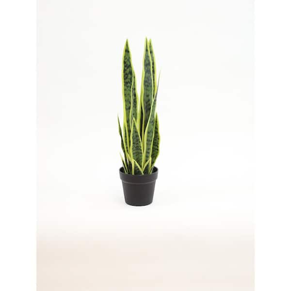 Unbranded 24 in. Variegated, Artificial Snake Plant in Black Drop In Pot
