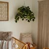Nearly Natural 24in UV-Resistant Artificial Pothos Vine w/ LED Lights Hanging Basket