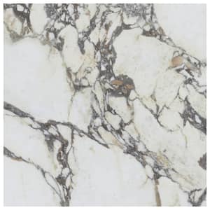 Signet Arabescato White 8 in. x 0.35 in. Marble Look Satin Porcelain Floor and Wall Tile Sample