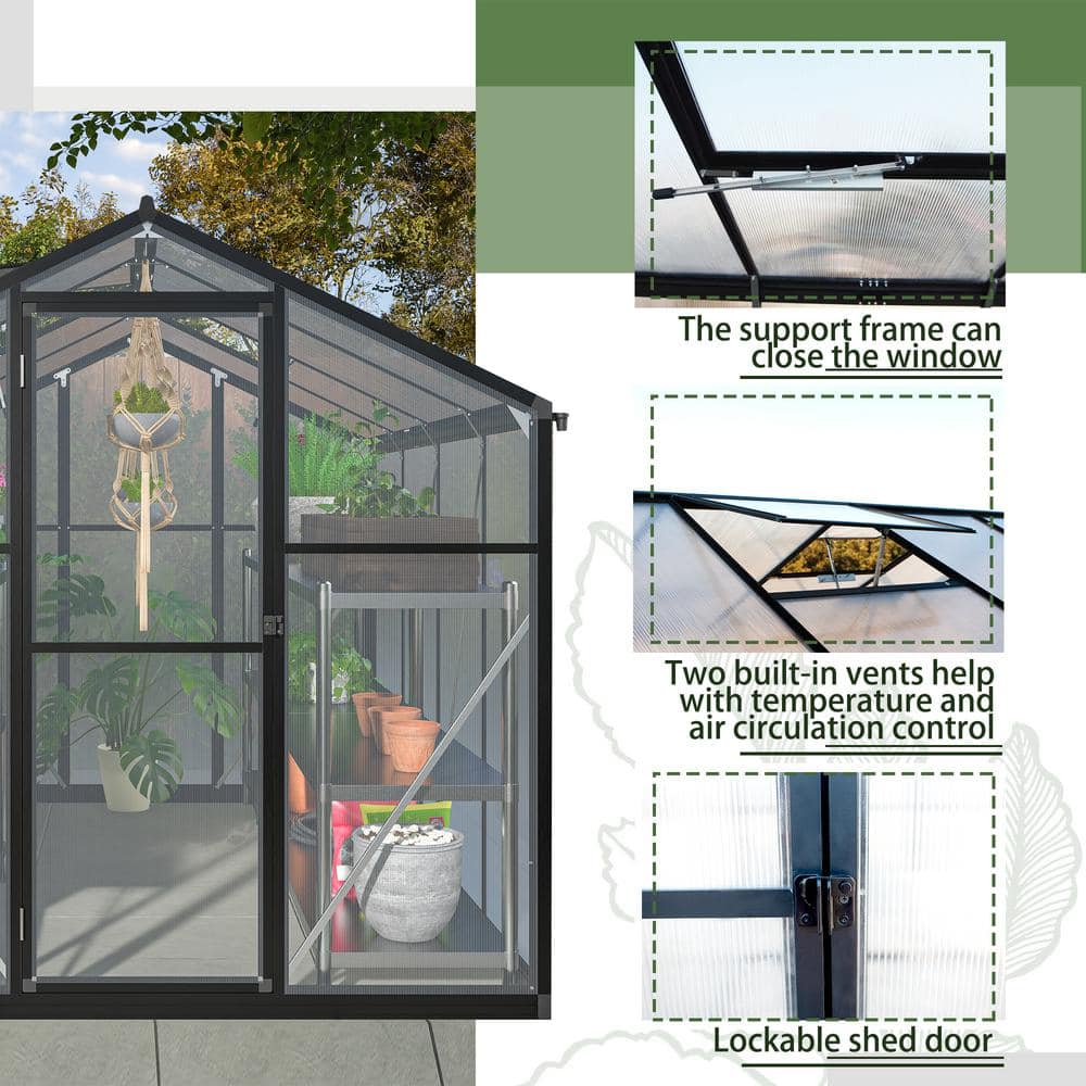 Black 6' x 8' Polycarbonate Aluminum Outdoor Greenhouse