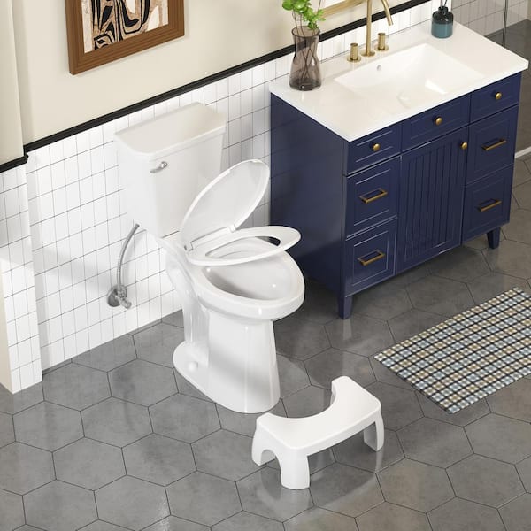 21-in 2-Piece 1. 28GPF Single Flush Elongated Comfort Toilet with Custom Stool, Suitable for The Whole Family in White