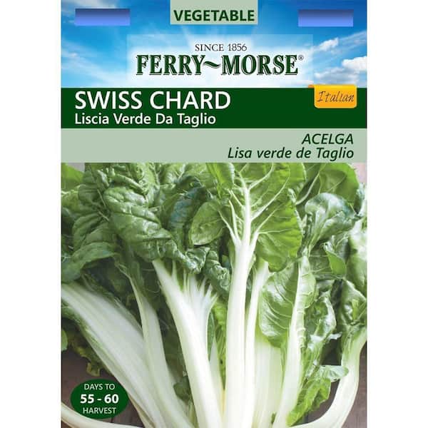 Ferry-Morse Swiss Chard Liscia Verde Da Taglio Seed