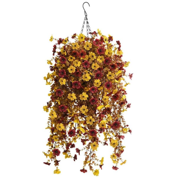 show me money tree Buy Money Tree Braided - Good Luck Tree main image 0