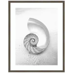 "Pearl Nautilus Shell Cut In Half" 1-Piece Wood Framed Black and White Nature Photography Wall Art 33 in. x 26 in.