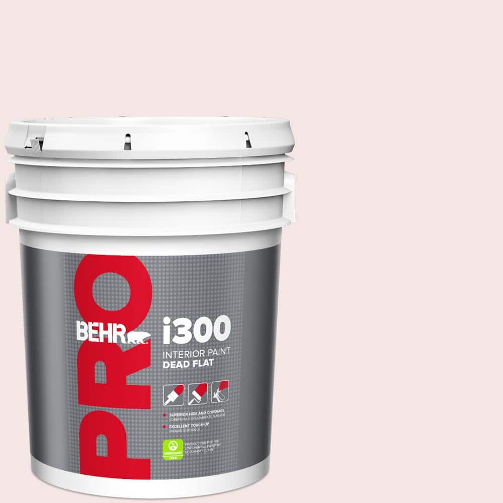 5 gal. #RD-W01 Pink Prism Dead Flat Interior Paint price history on PriceWatchPro