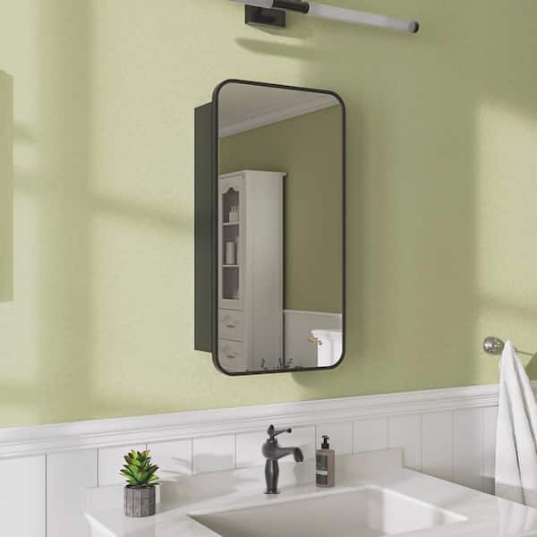niveal 15 in. W x 24 in. H Rectangular Matte Black Aluminum Recessed/Surface Mount Framed Medicine Cabinet with Mirror